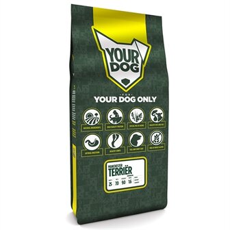 Yourdog manchester terri&Euml;r senior