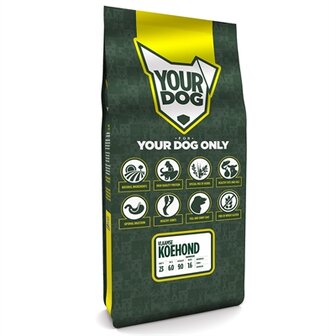 Yourdog vlaamse koehond senior