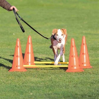 Trixie dog activity hordenset