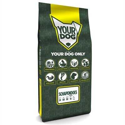 Yourdog schapendoes senior